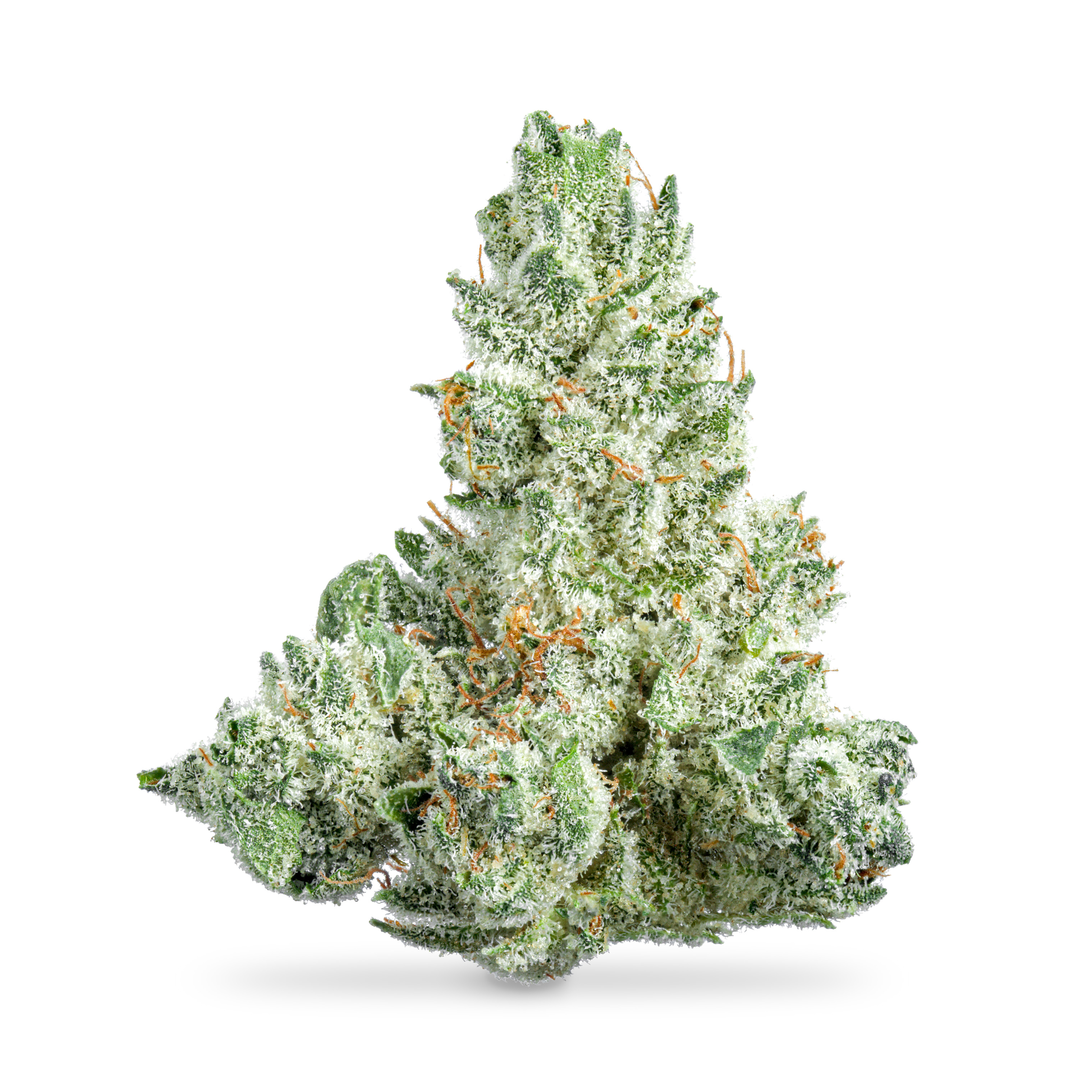 Photograph of product: GG4 - 3.5g