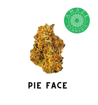 Photograph of product: AMAZE - PREPACK - 3.5G - PIE FACE - HYBRID