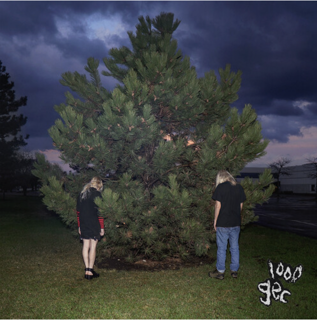 Photograph of product: 100 GECS 1000 GECS ALBUM