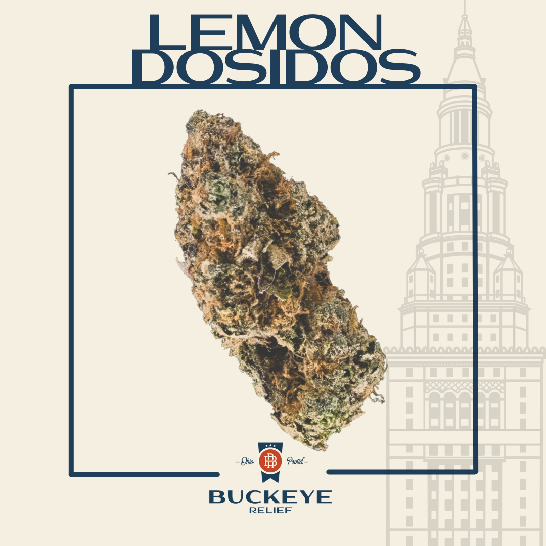 Photograph of product: Buckeye Relief | 14.15g | Flower | Buds | Lemon Dosidos