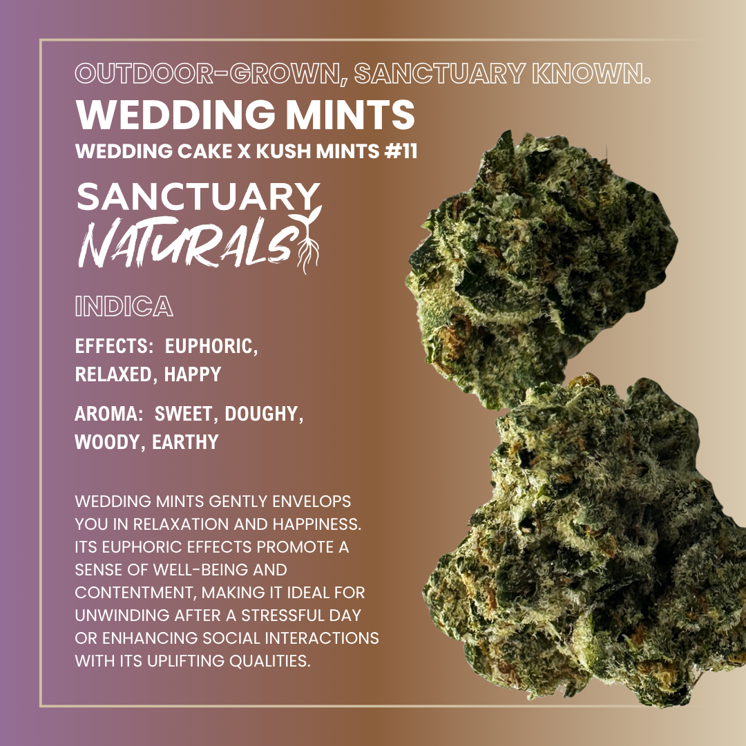Photograph of product: Sanctuary Naturals 3.5g Wedding Mints