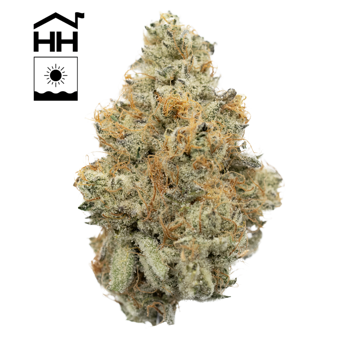 Photograph of product: Albario | - 7g