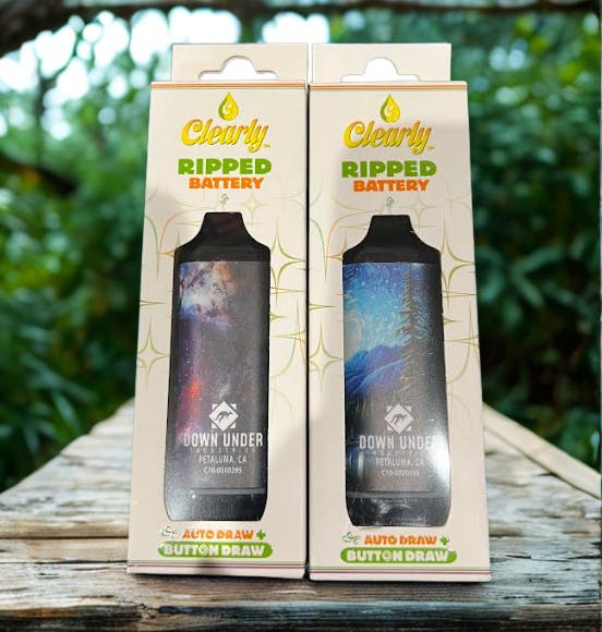 Photograph of product: Down Under Palm Hide-a-Way Style Battery - 