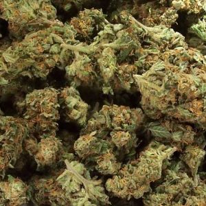 Photograph of product: Permanent Marker - Ounce