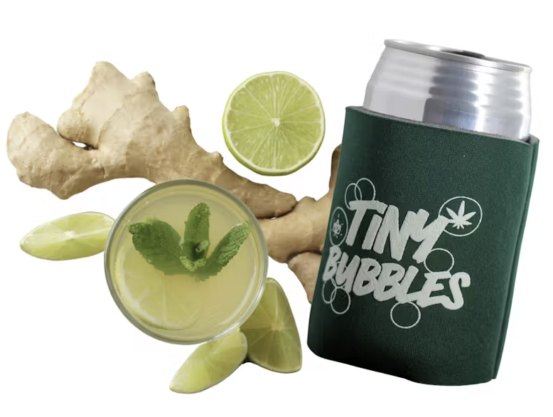 Photograph of product: Tiny Bubbles - Ginger Ale