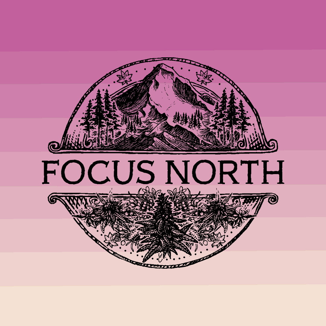 Photograph of product: Focus North - THE IMPOSTER - Preroll Pack - - H