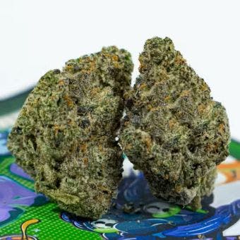 Photograph of product: Krem Brulay | 1g - 