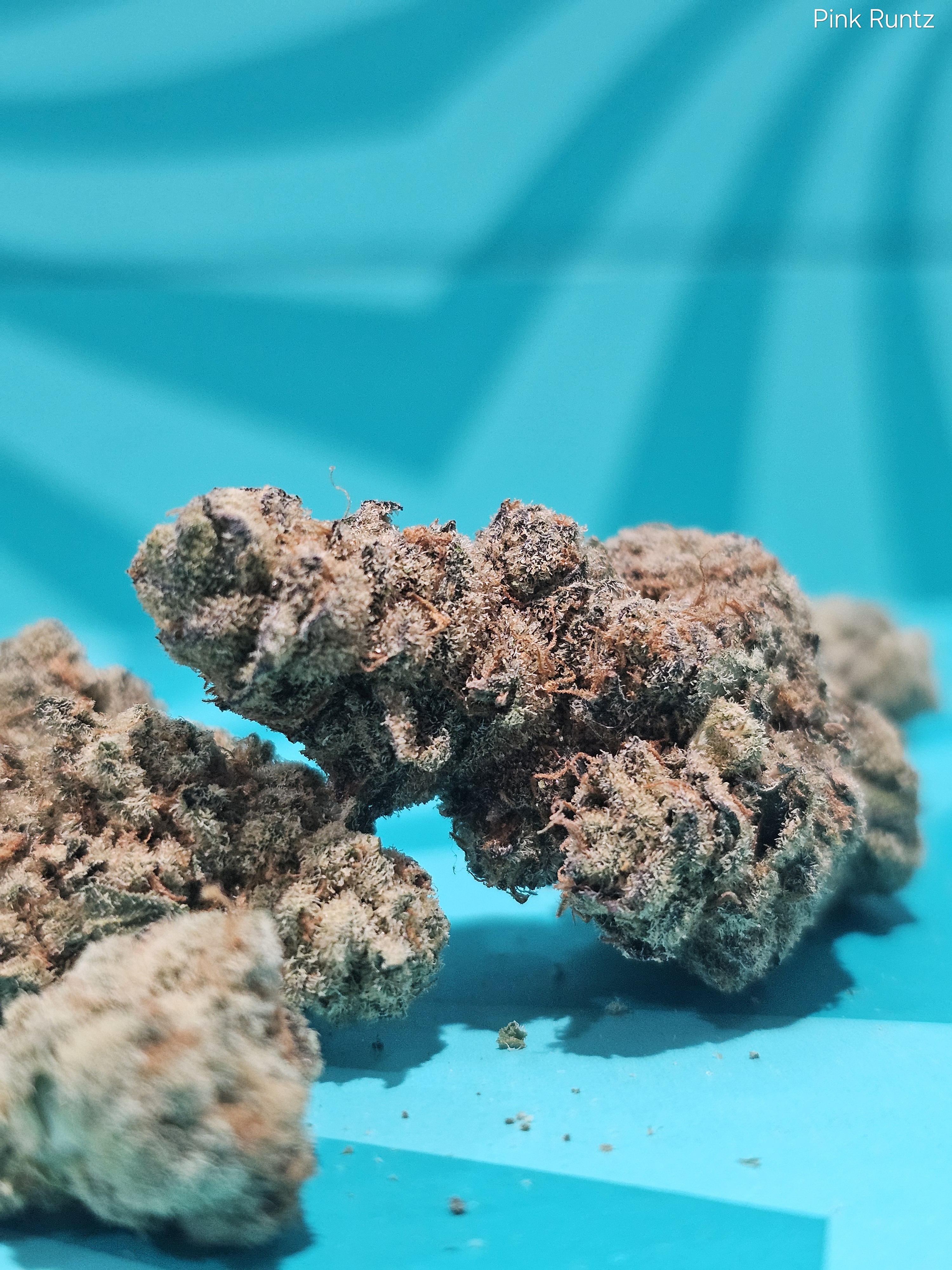 Photograph of product: Flower | REC - Pink Runtz - 28g