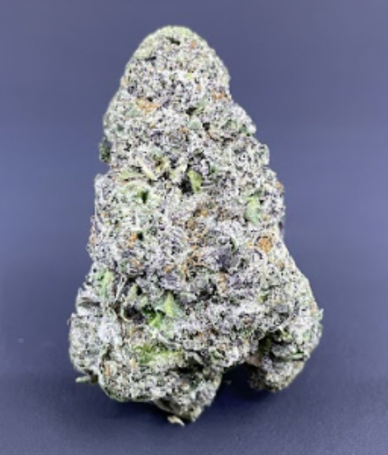 Photograph of product: Gelato - Buds - 3.5g