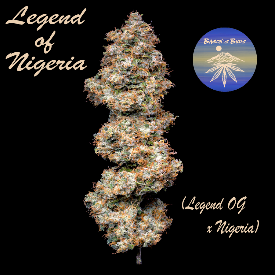 Photograph of product: Legend Of Nigeria - 28g