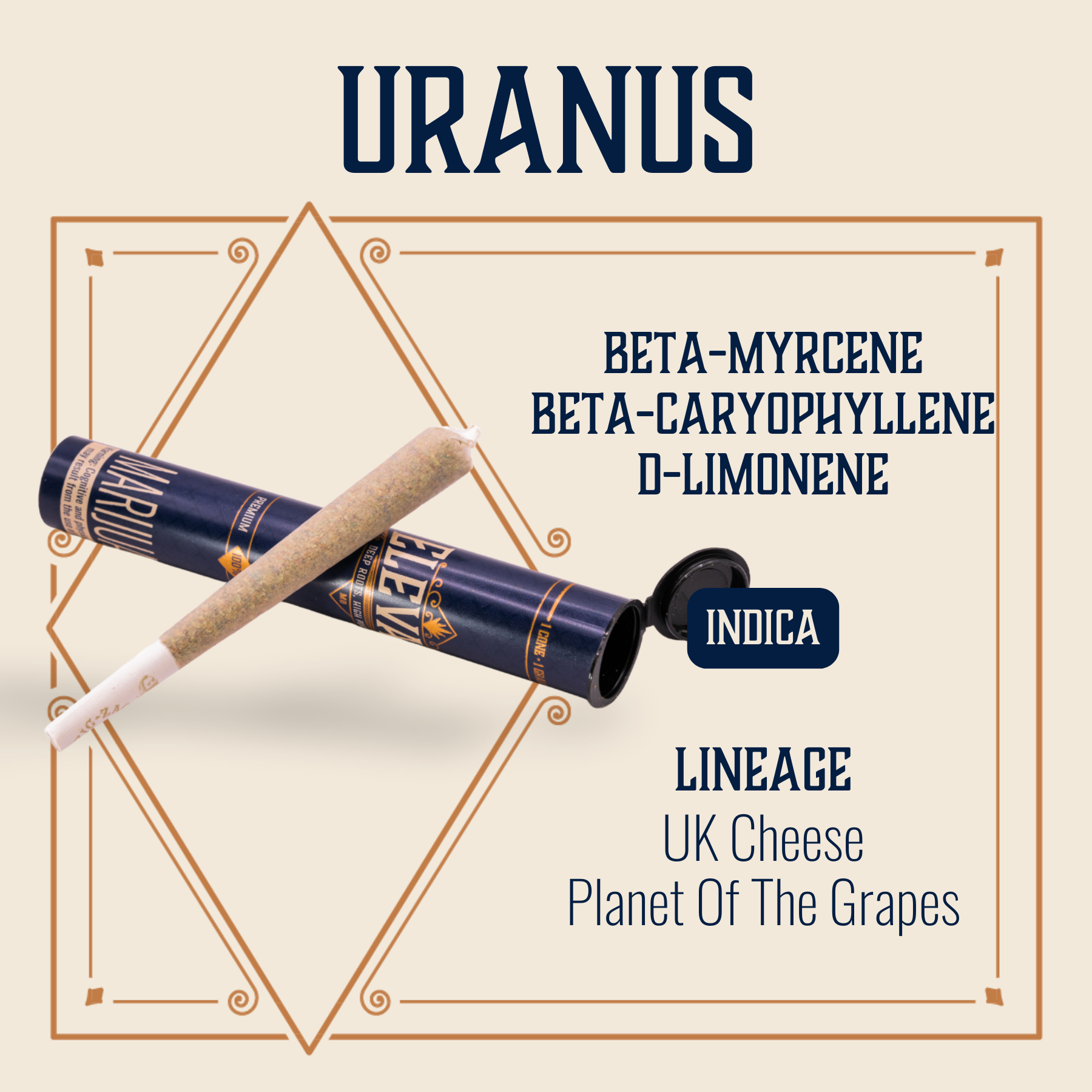 Photograph of product: Uranus Pre-Roll | 1g