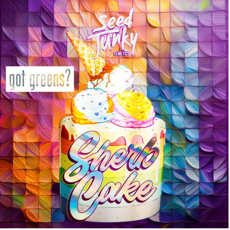 Photograph of product: Seed Junky - Sherb Cake Pre-Roll