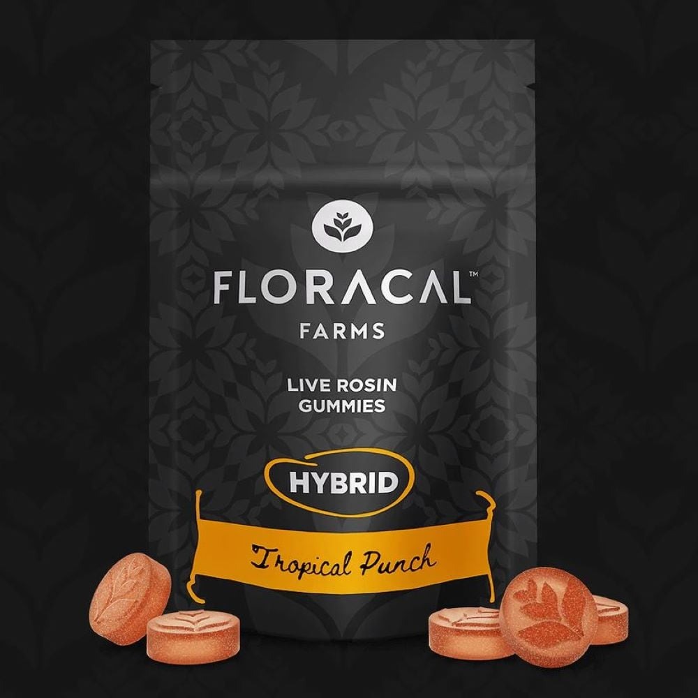 Photograph of product: Tropical Punch Live Rosin Gummies 10pk