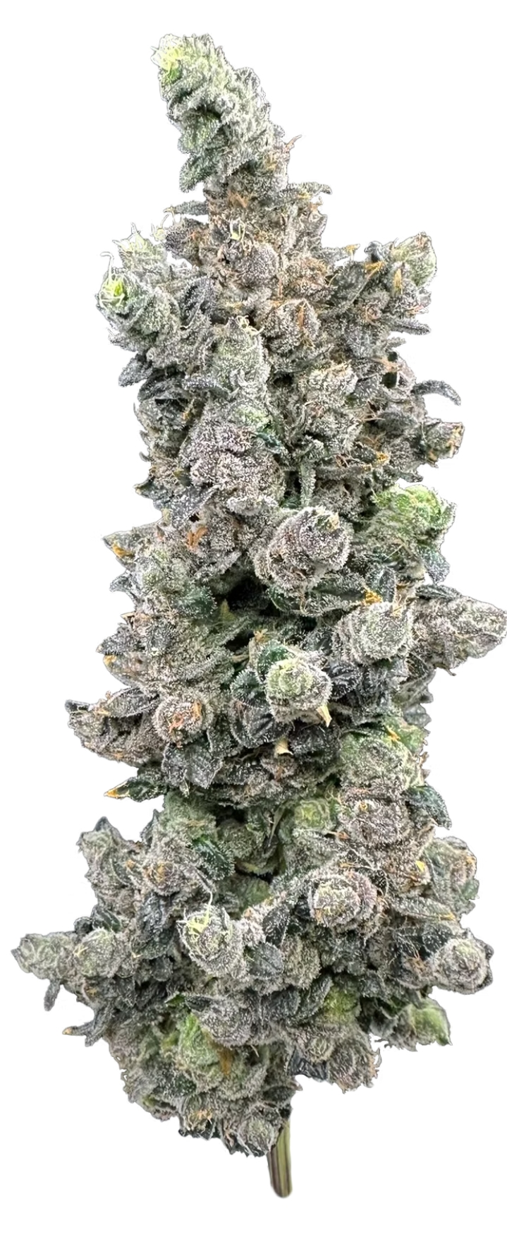 Photograph of product: Vanilla Zoap 3.5g Flower Trifecta Farms