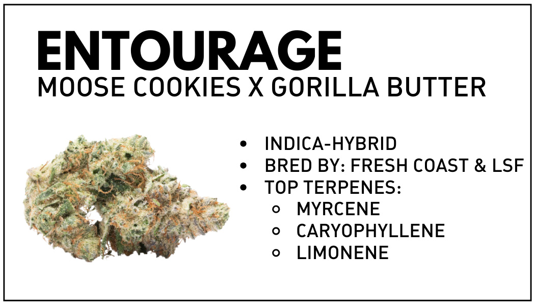 Photograph of product: Light Sky Farms | Entourage | Hybrid | Bulk Flower | Gold - 28g
