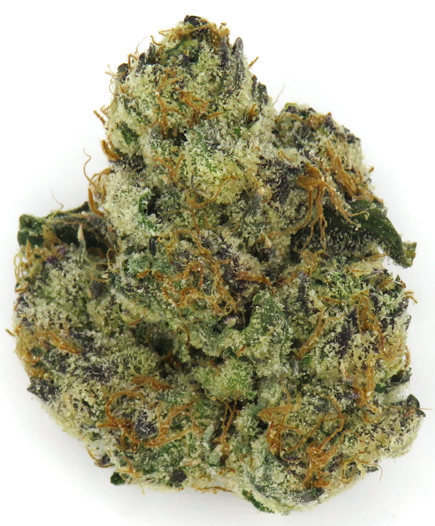 Photograph of product: MacFlurry | Pro Gro - 1g