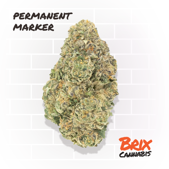 Photograph of product: Permanent Marker | Pre-Pack | 3.5g | 00242