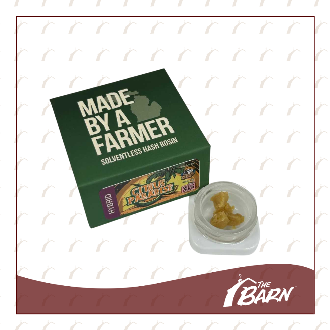 Photograph of product: MBAF au chocolat Rosin 1g - Citrus Paradise - REC