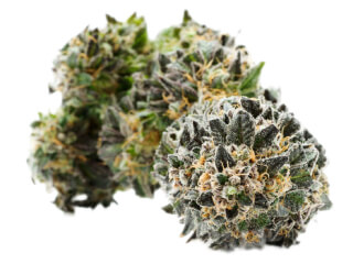 Photograph of product: Special | Twin Peaks | Grow West - 7g