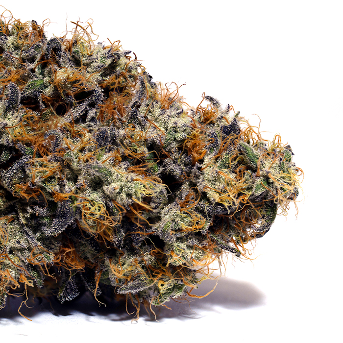 Photograph of product: Wookie Dawg | Older - 28g