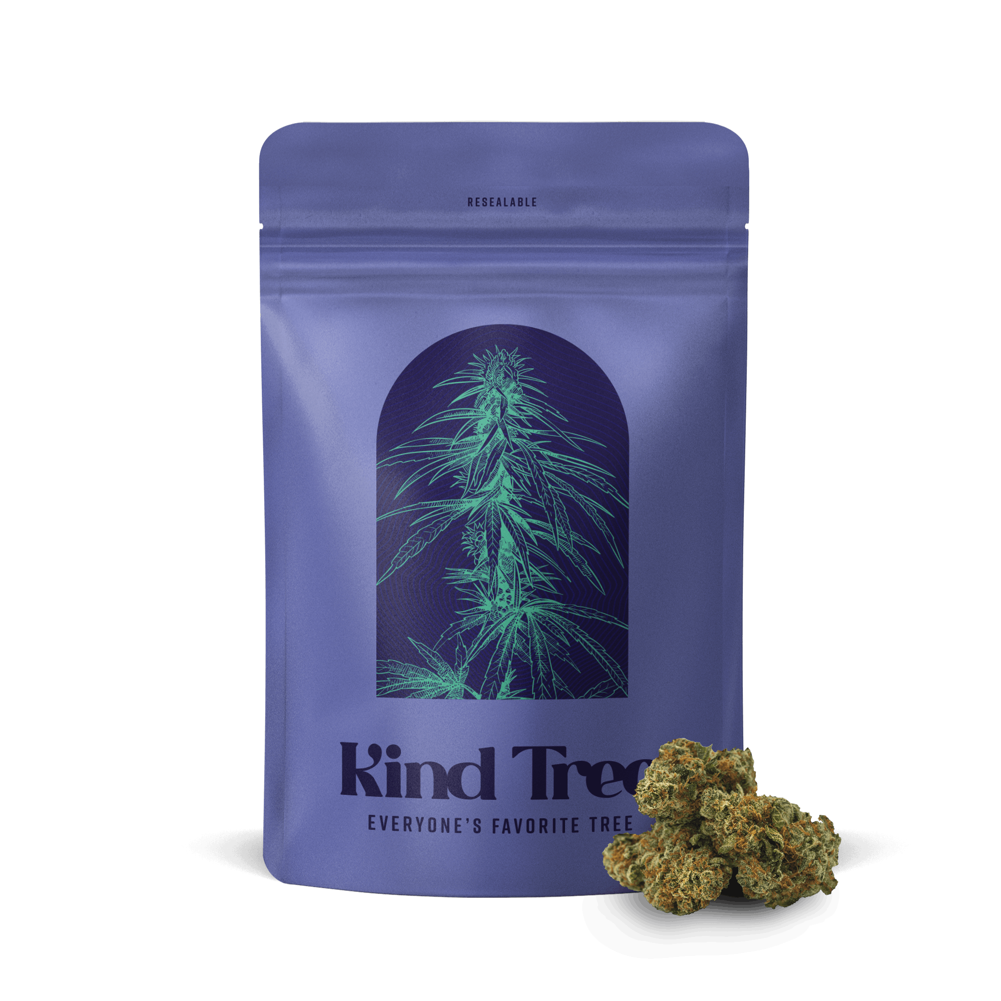 Photograph of product: Glitter Bomb I 7g I Littles I Kind Tree