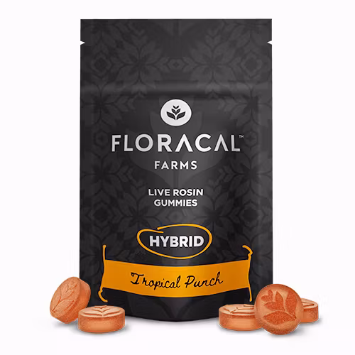 Photograph of product: TROPICAL PUNCH LIVE ROSIN GUMMIES | 10PK | 100MG