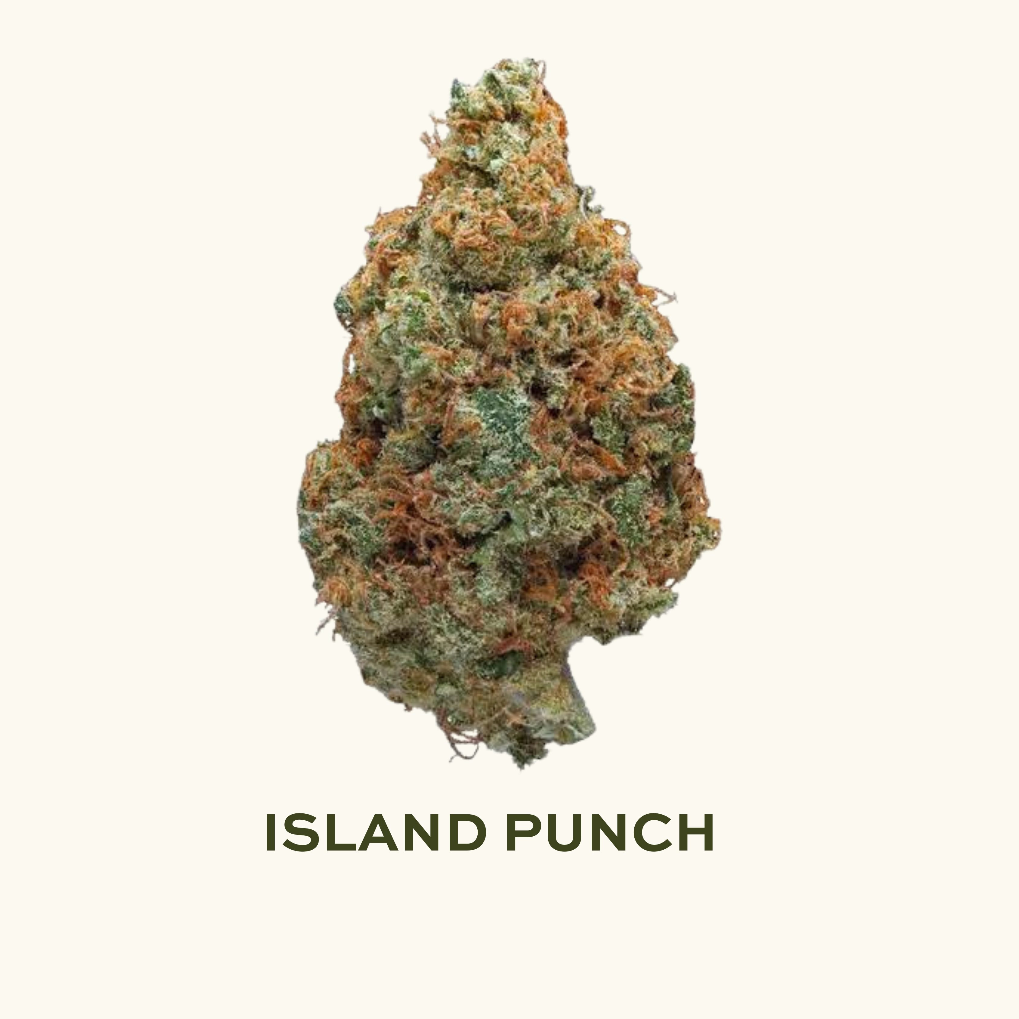 Photograph of product: Island Punch #2 - (3.5) - 3.5g