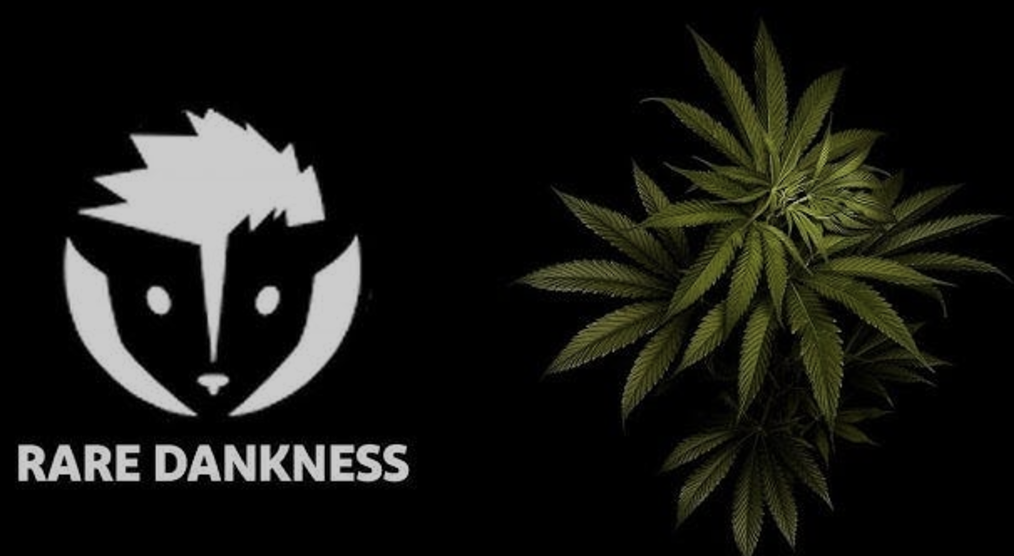 Photograph of product: Mystery Meat - Buds - 3.5g