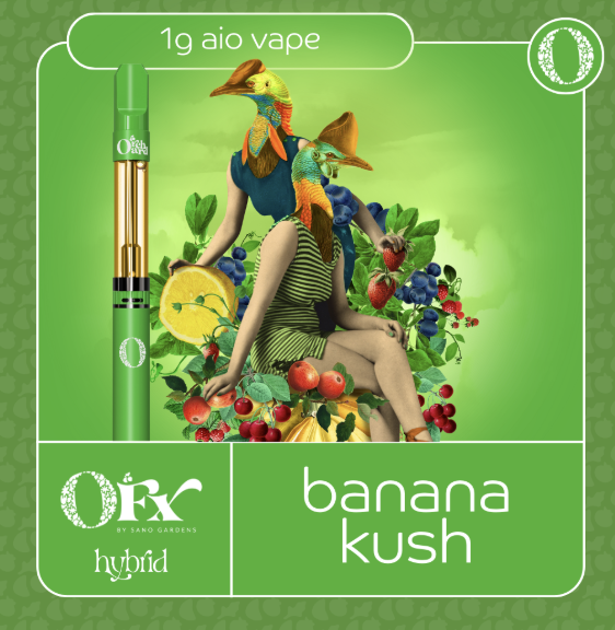 Photograph of product: Banana Kush (I)
