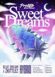 Photograph of product: Prolific | Sweet Dreams | 1G | Pre-Roll