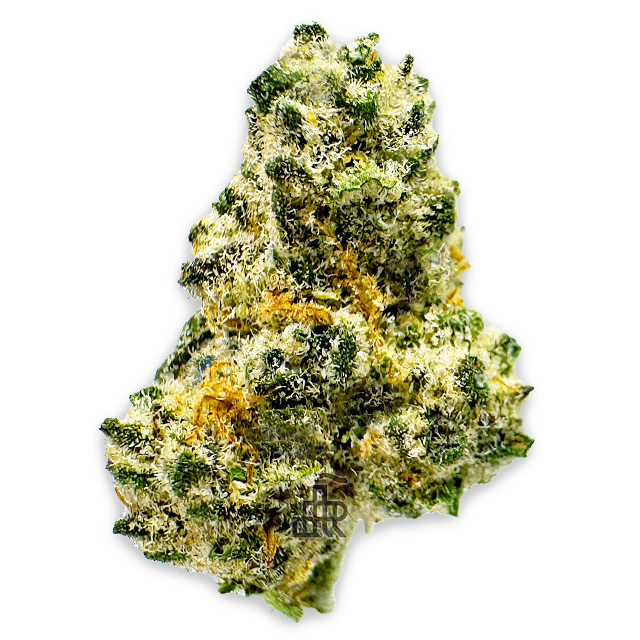 Photograph of product: A5 | Deli Style | Tier Six - 28g