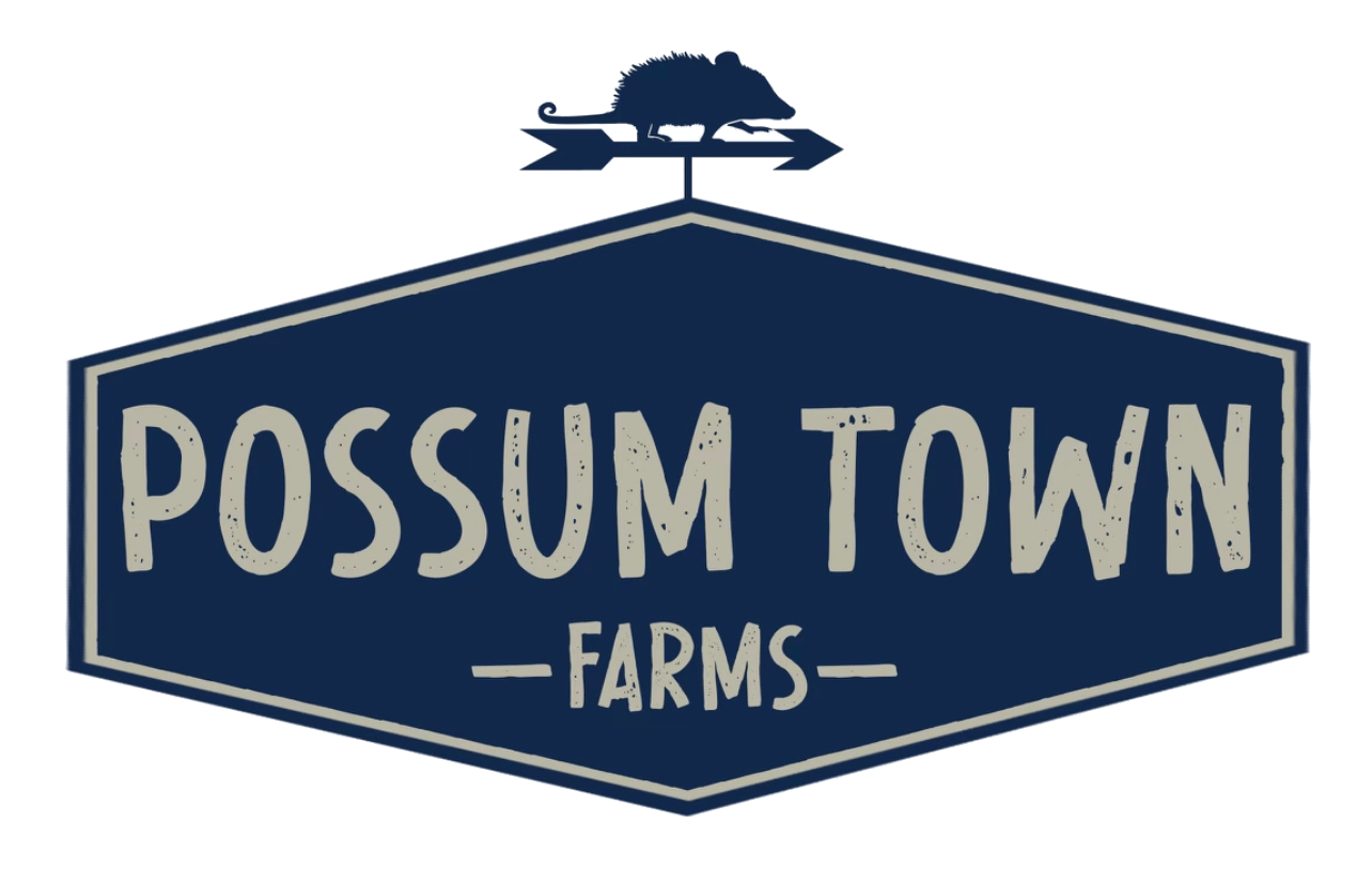 Photograph of product: Possum Town | 3.5g | Kosher Dawg | Hybrid