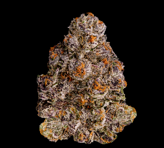 Photograph of product: RS-X - Eighth