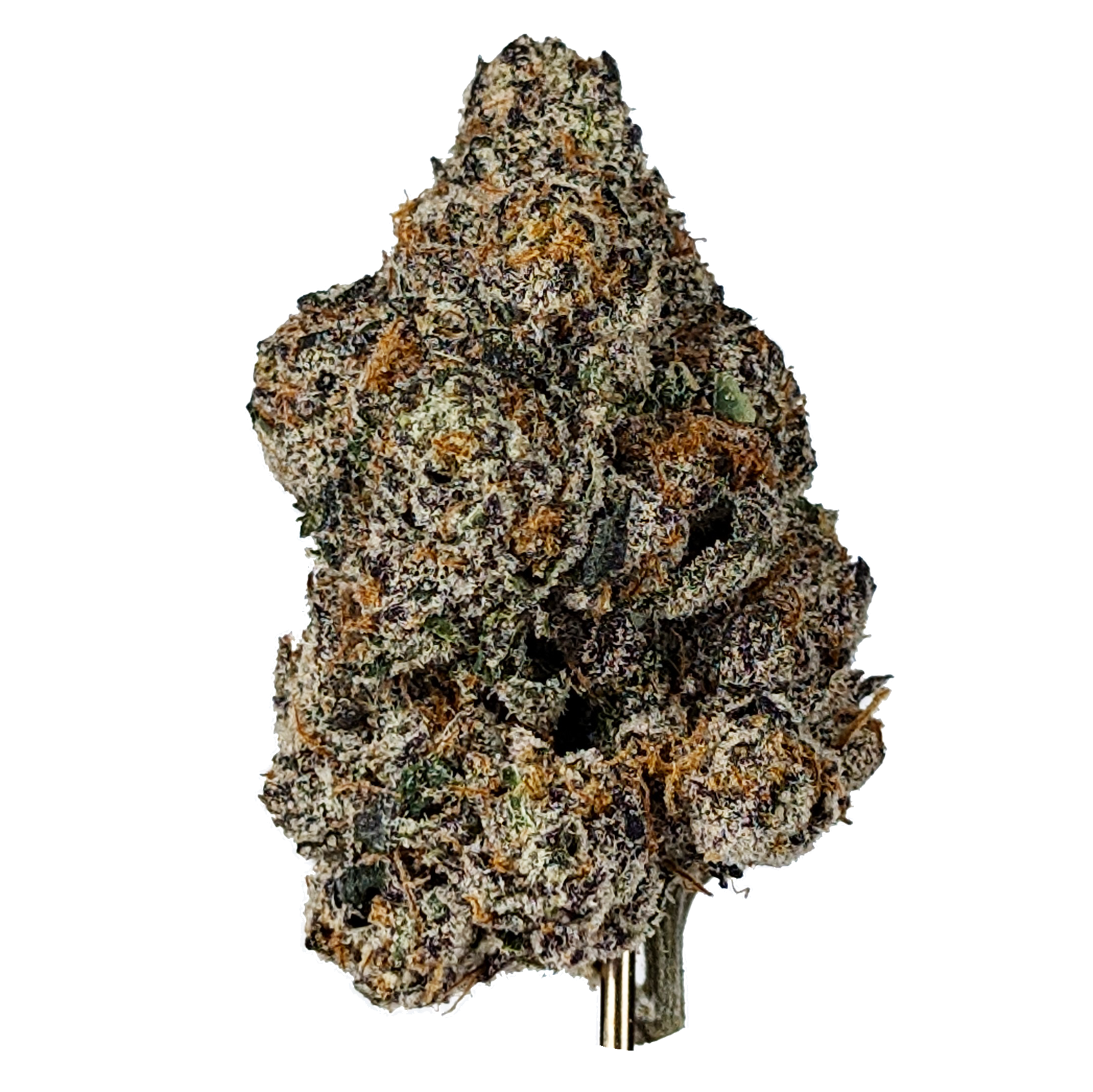 Photograph of product: HIGHLIGHTER - BULK FLOWER - 1g