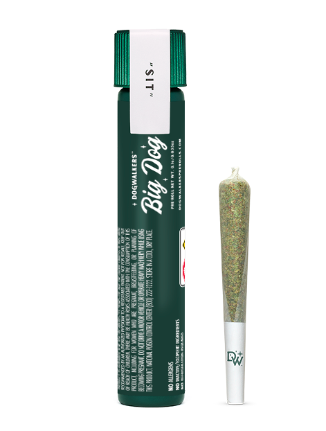 Photograph of product: Couch Crasher - Preroll