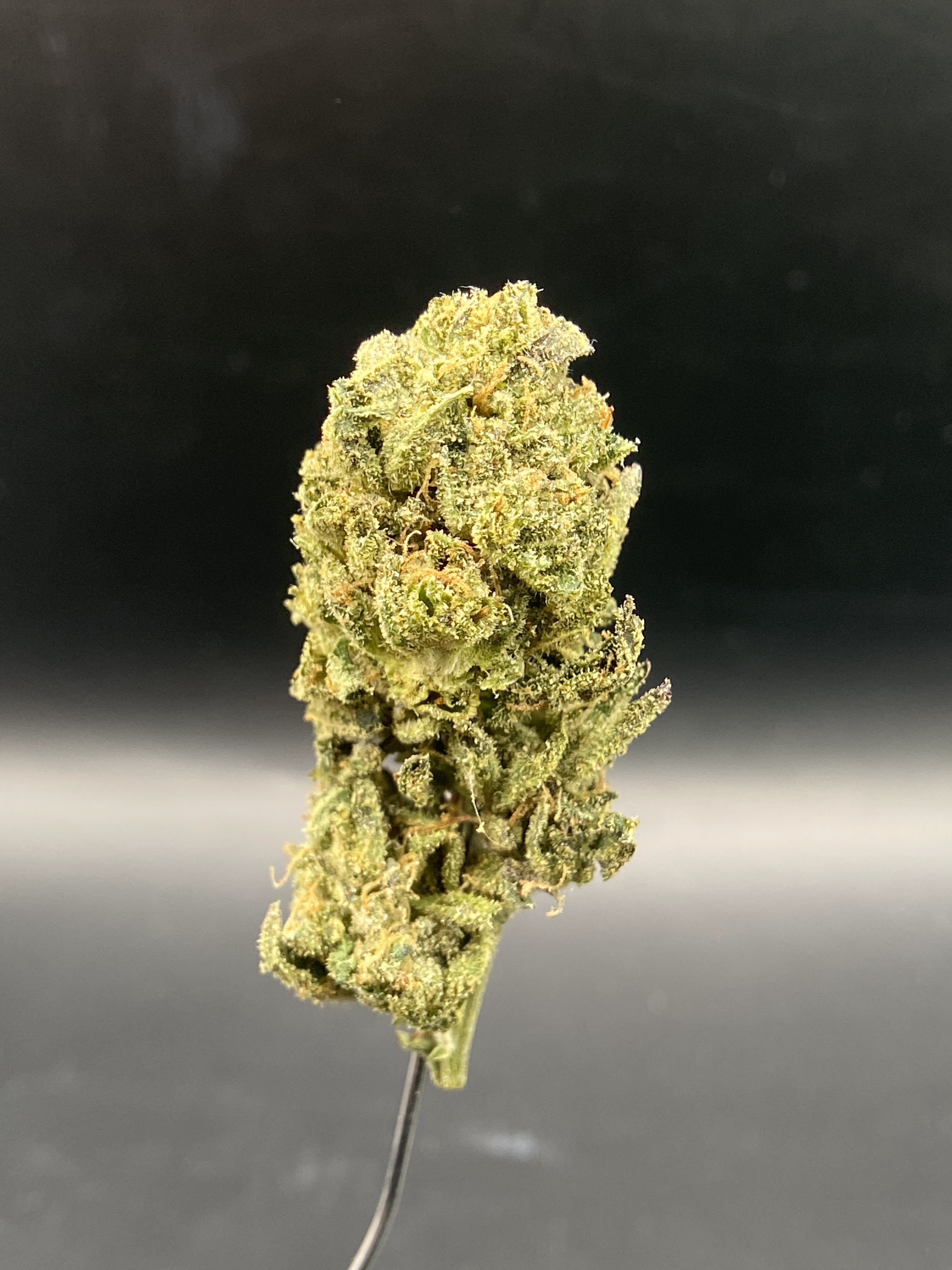 Photograph of product: Growing Up | Ethanol | $90 OZ - 28g