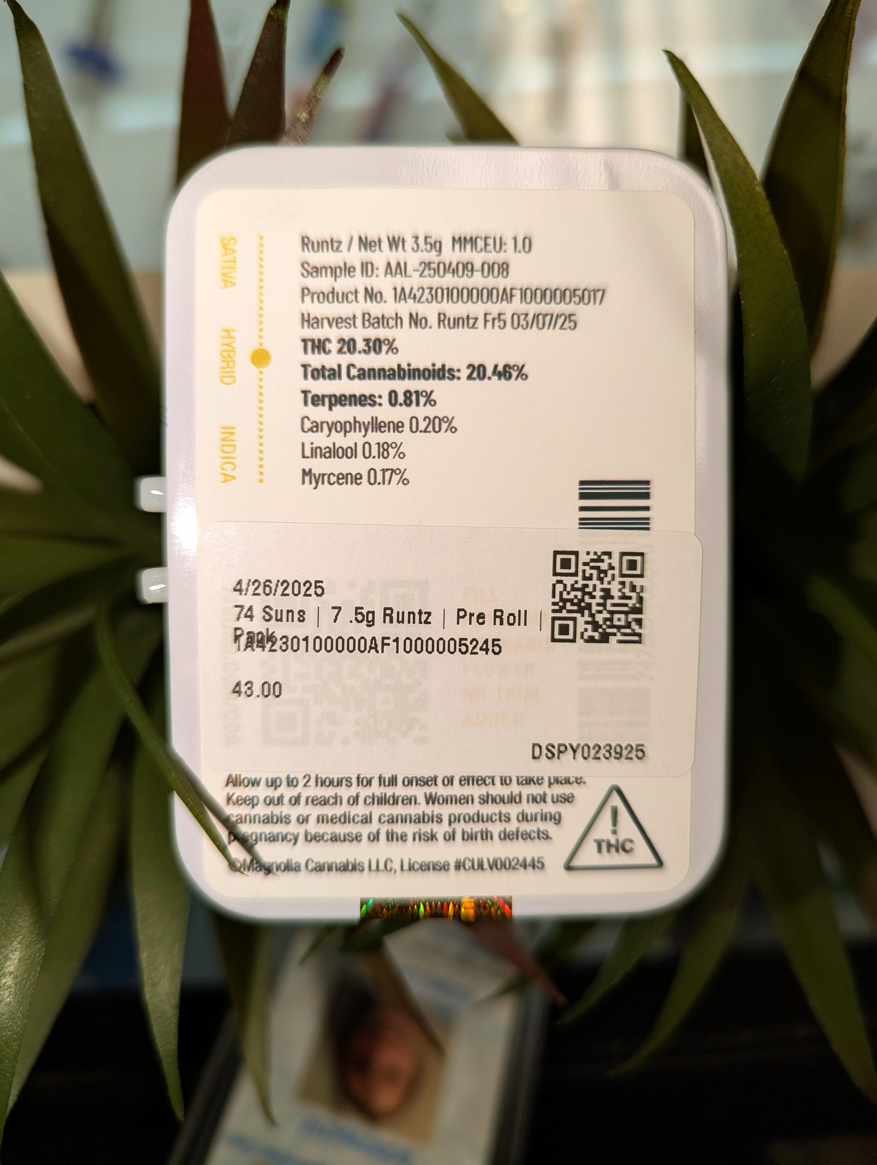 Photograph of product: 74 Suns | 7x.5g | Runtz | Pre-Roll Pack