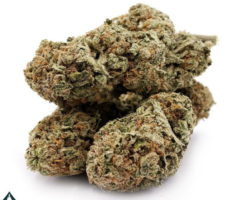 Photograph of product: Orange Sherbert #3 - 1g | 2pk - Pre Rolls
