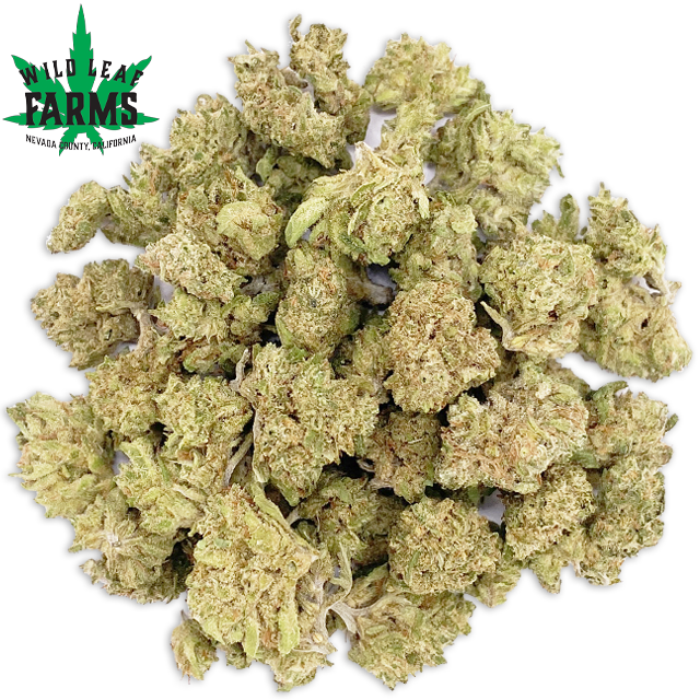 Photograph of product: JELLY DONUTZ - SMALLS (14G)