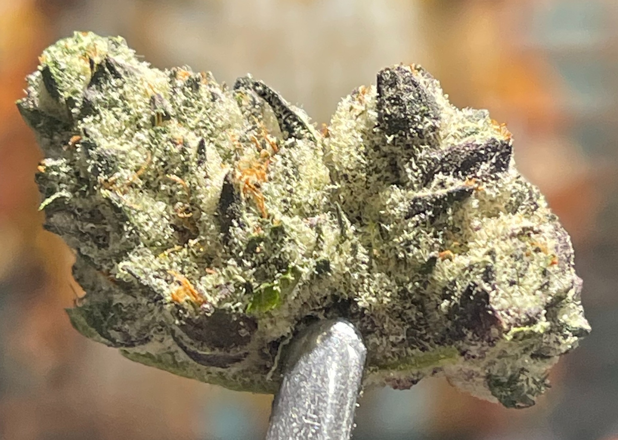 Photograph of Product: Goodfella - 1g