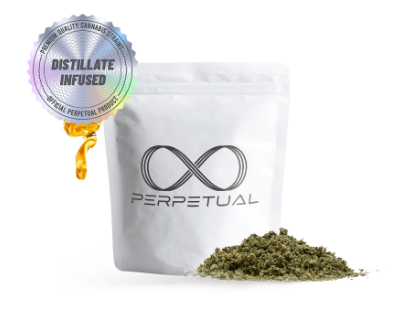 Photograph of product: Perpetual Blueberries Infused Ready to Roll - 3.5g