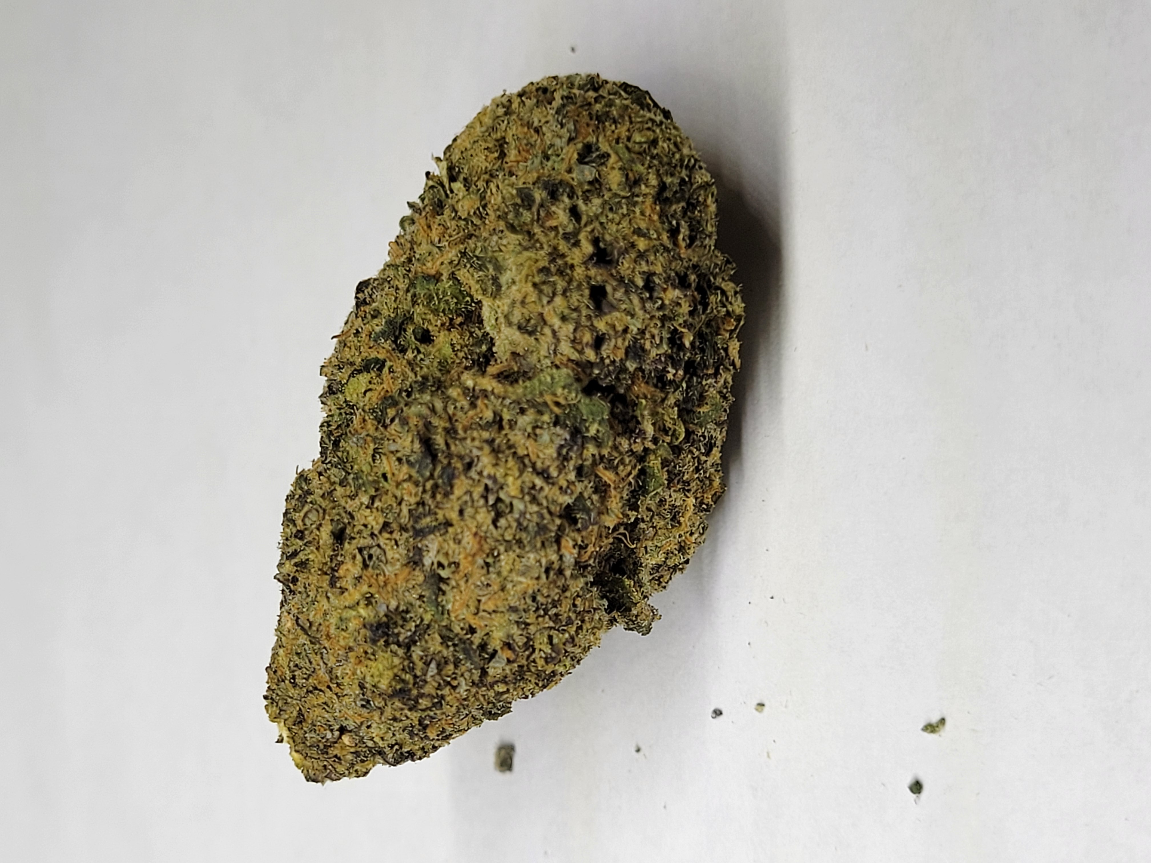 Photograph of product: Dante X RS11 *I* - 28g