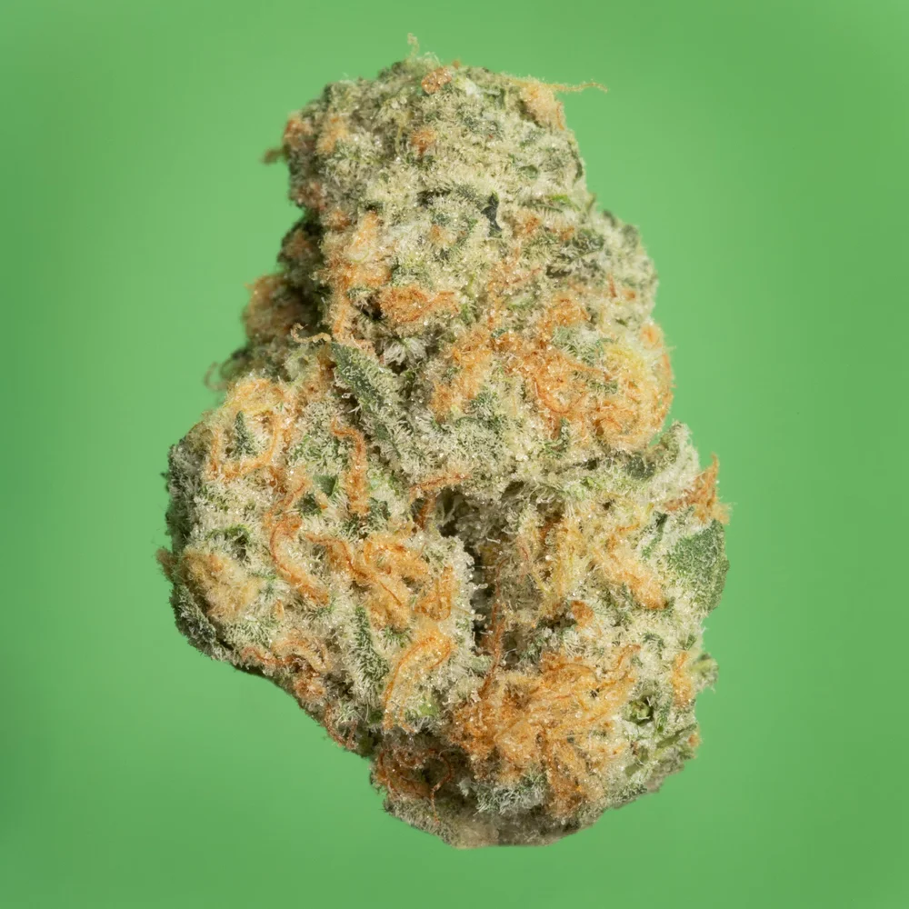 Photograph of product: Black Cherry GMO 41211 - 3.5g