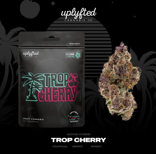 Photograph of product: Uplyfted Trop Cherry 3.5g