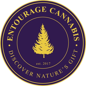 Photograph of product: ENTOURAGE | INFUSED PRE-ROLL | BIG MAC x GARY POPPINS