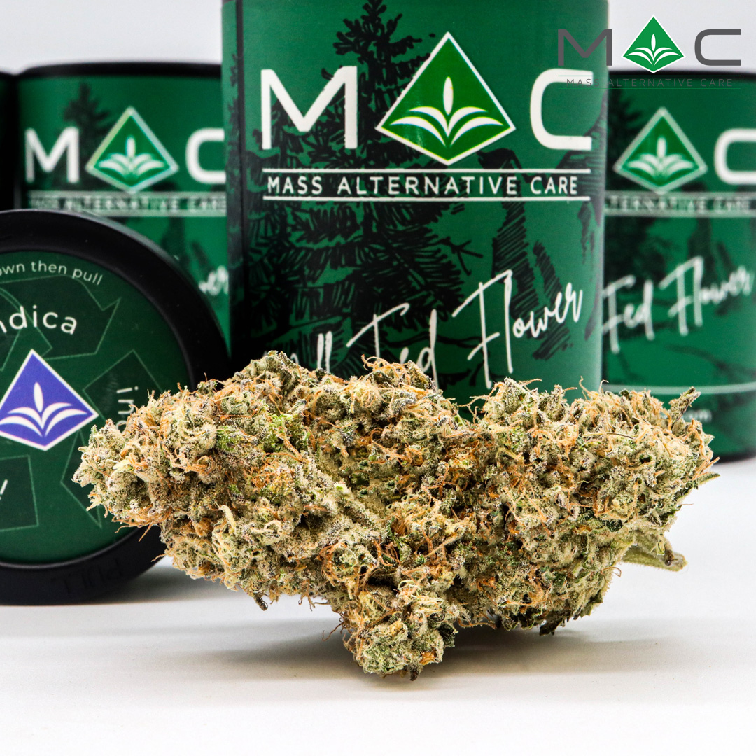 Photograph of product: Space Center 1/8 30.84% TAC 2.73% Terpenes - 3.5g