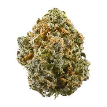 Photograph of product: BLUE DREAM 3.5G FLOWER