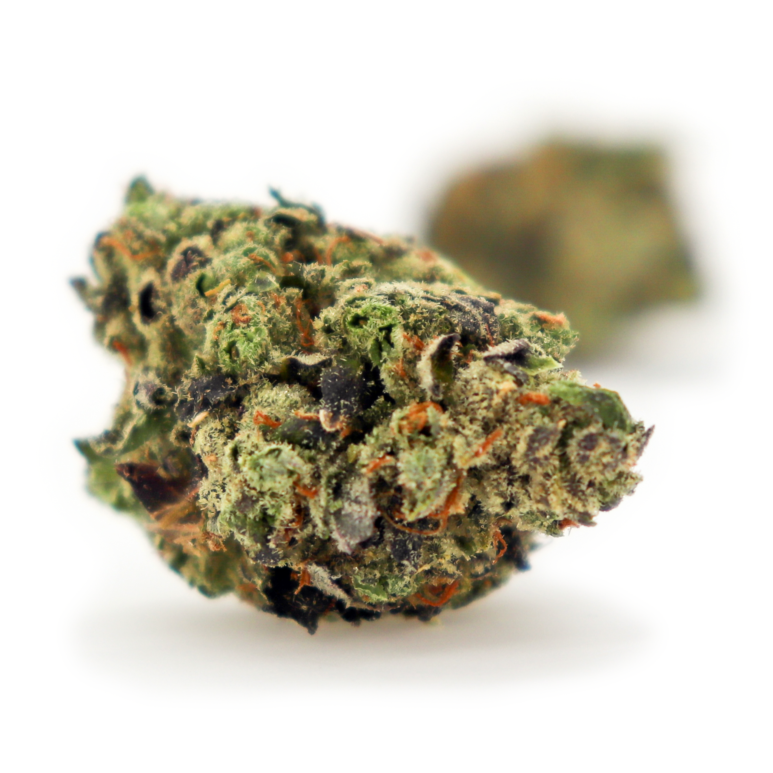 Photograph of product: Jelly Donutz - 3.5g