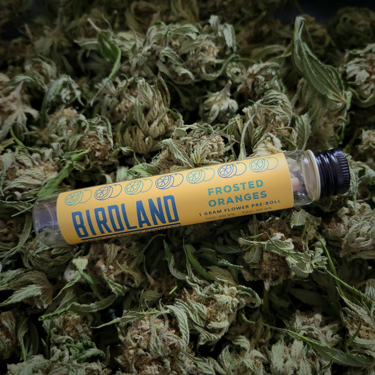Photograph of product: Birdland | Frosted Oranges | 1g Pre Roll
