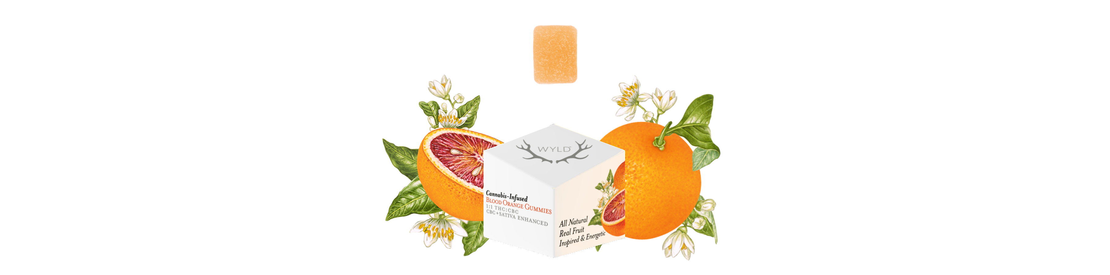 Photograph of product: WYLD | Gummies | Oui'd | Blood Orange | 100mg